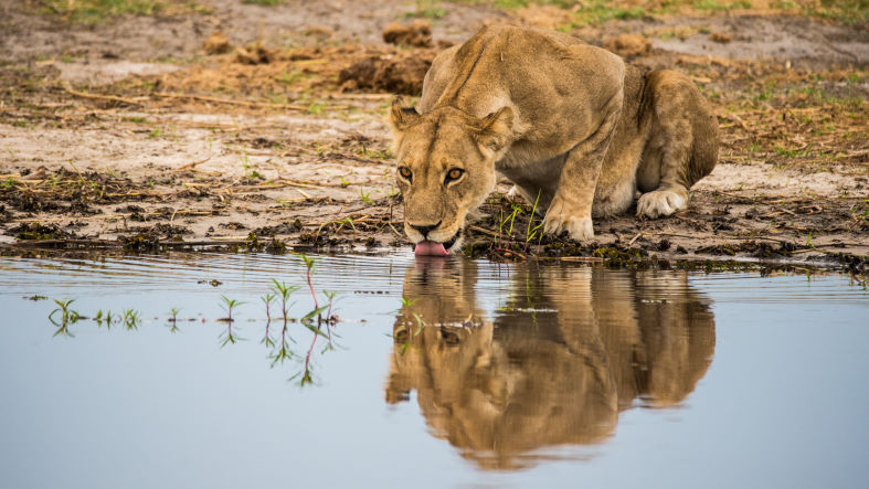 BOTSWANA