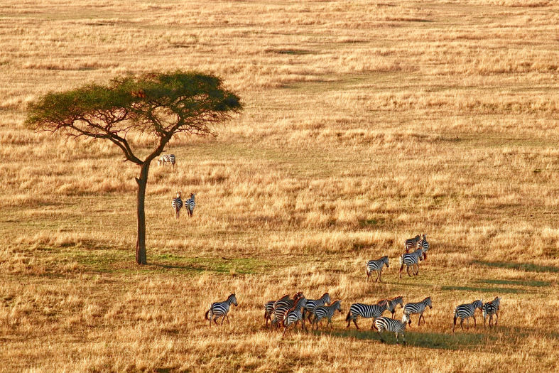 TANZANIA