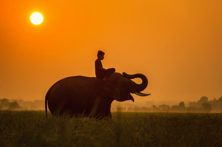 LAOS